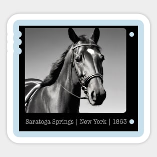 Saratoga Springs New York Horses Sticker